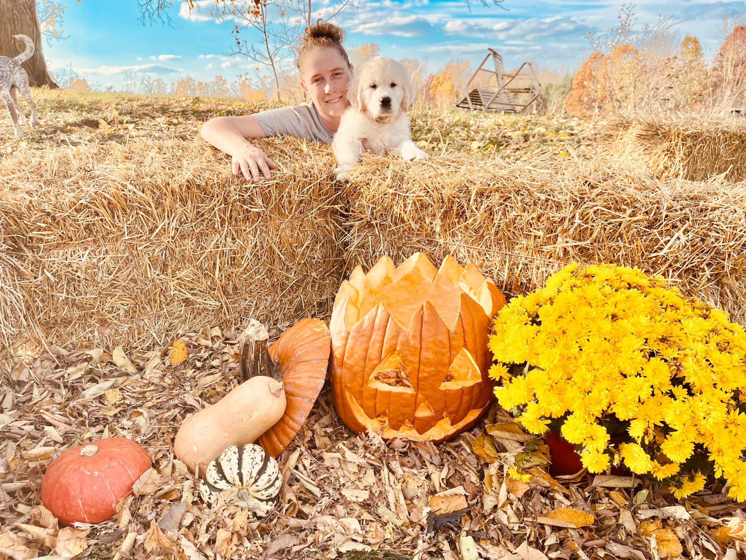 kalaandhawkins kala-and-hawkins-